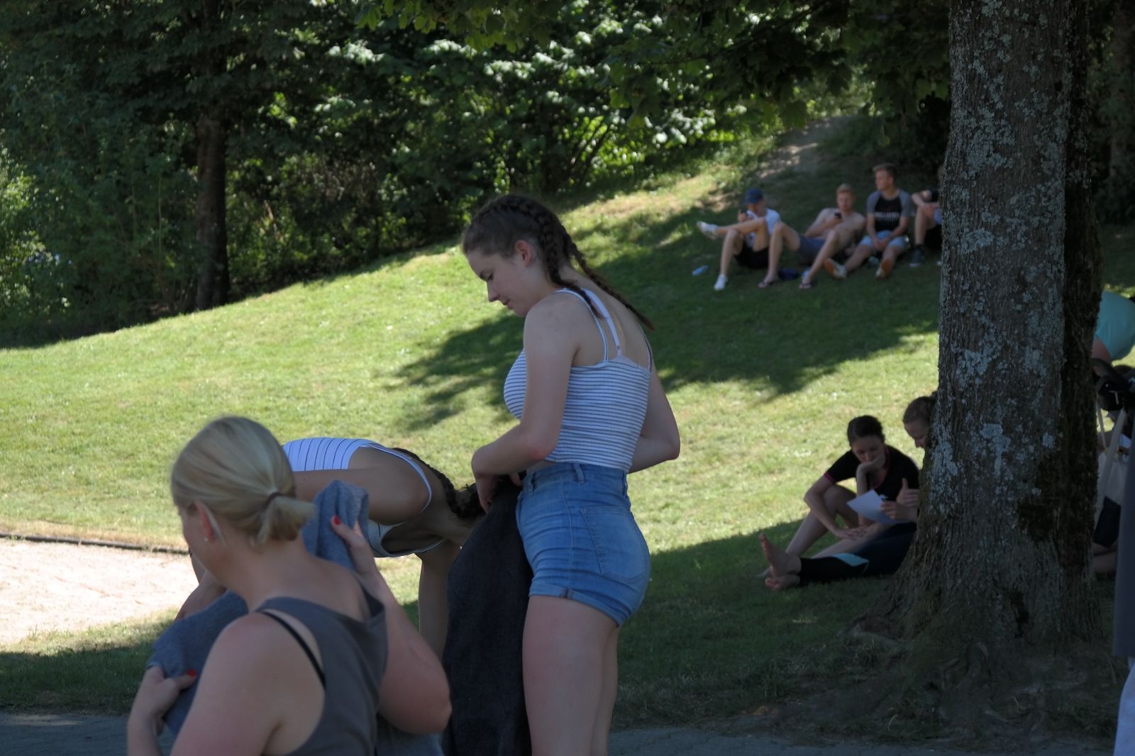 Bild (100)